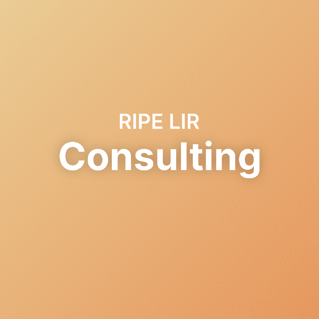 RIPE LIR Consulting