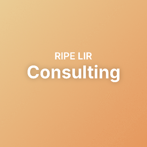 RIPE LIR Consulting