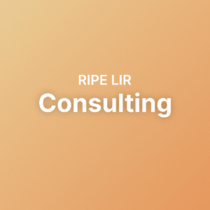 RIPE LIR Consulting